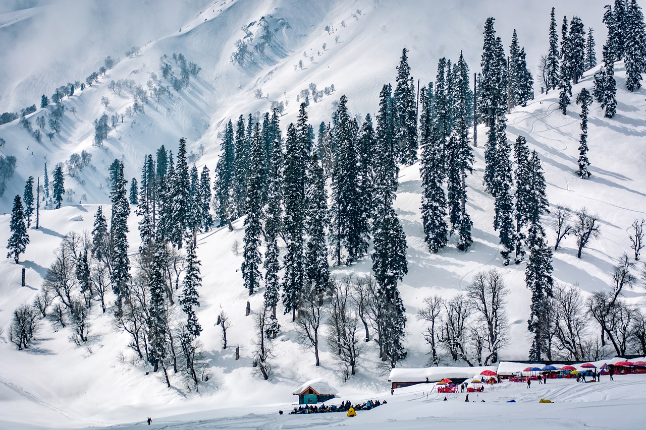 Beauty of Kashmir
